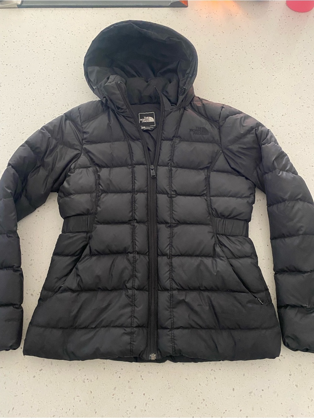 The North Face Down Puffer Jacket